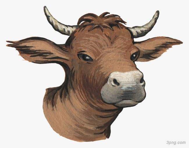 吉林市舒蘭市天德鄉(xiāng)反芻技術(shù)交流會圓滿成功！